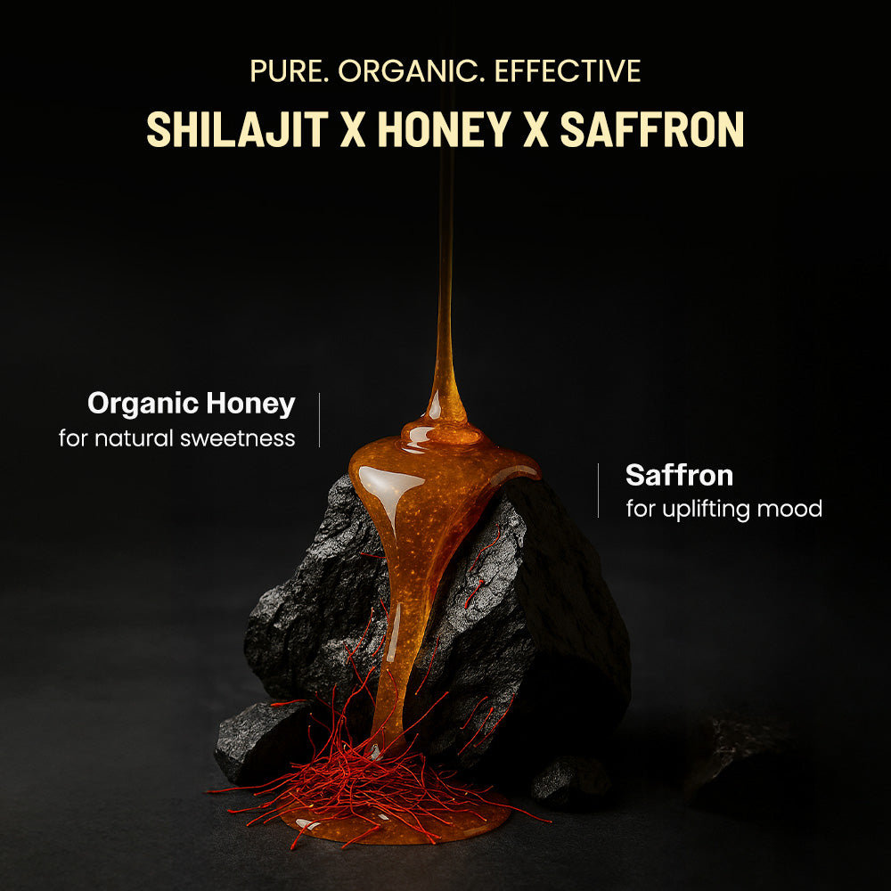 Anecdote Pure Himalayan Shilajit Honey Sticks with Organic Honey & Saffron | Boosts Stamina | Supports Immunity | 75% Fulvic Acid, 85+ Trace Minerals | No Added Sugar